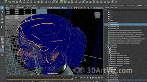 Descriptions in viewport Descriptions in viewport