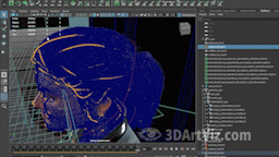 Descriptions in viewport Descriptions in viewport